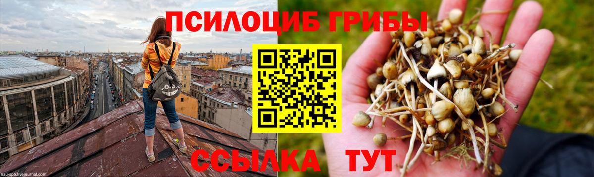 Нягань  Галлюциногенные грибы MAGIC MUSHROOMS  Вход с VPN  как найти   Псилоцибиновые грибы Magic Shrooms 